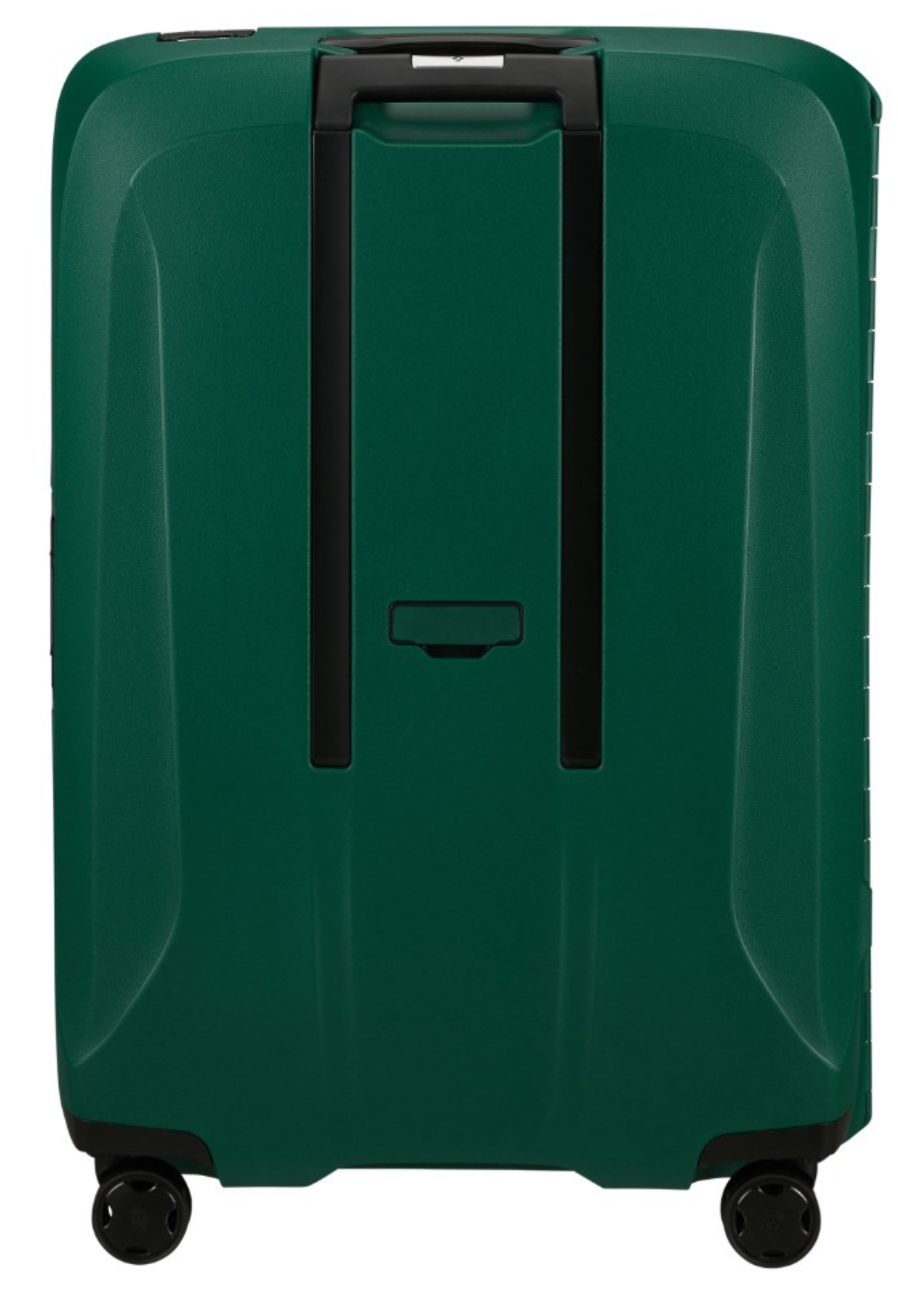 Alpine Green / L (75 cm)