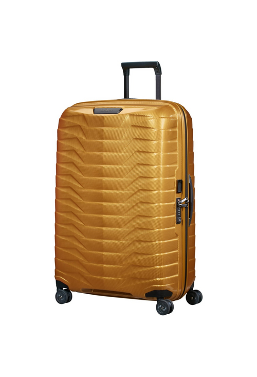 Honey Gold / L (71-80 cm)