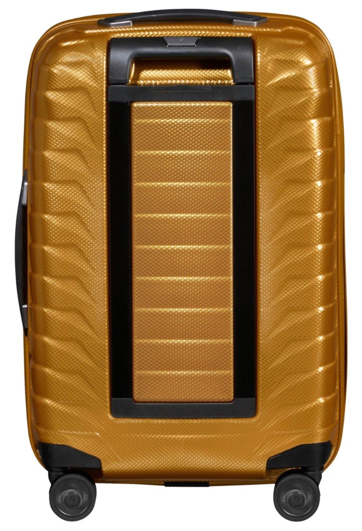 Honey Gold / XS (Handgepäck mit 23cm Tiefe)