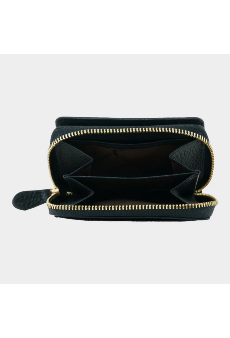 Braun Büffel Leder Asti Mini RFID 5CS Geldbörse