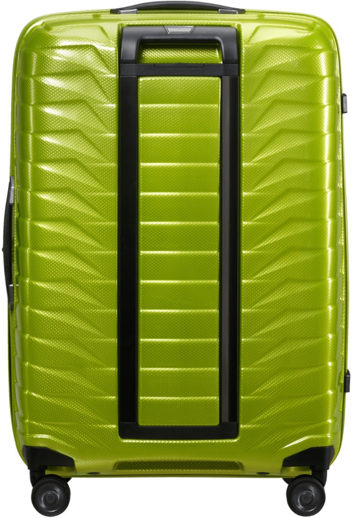 Lime / M (60-70 cm)