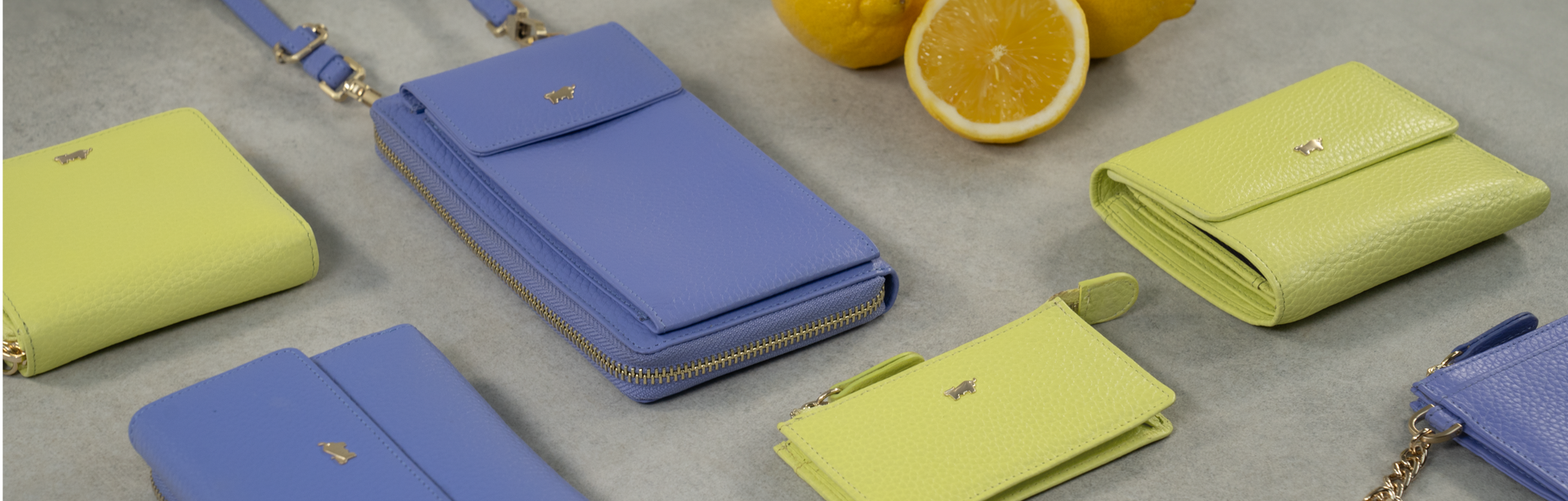 Braun Büffel, Geldbörsen, Kartenetuis, Lederaccessoires, moderne Farben, flach arrangiert