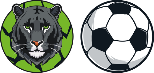Panther / Soccerball
