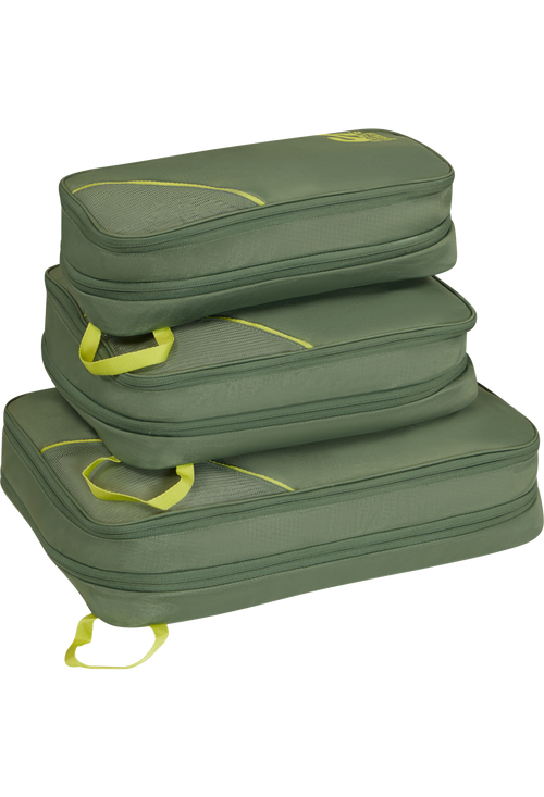 Olive/Lime