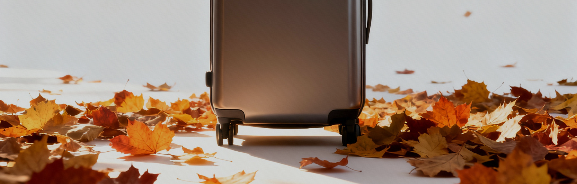 Herbstferien-Deals