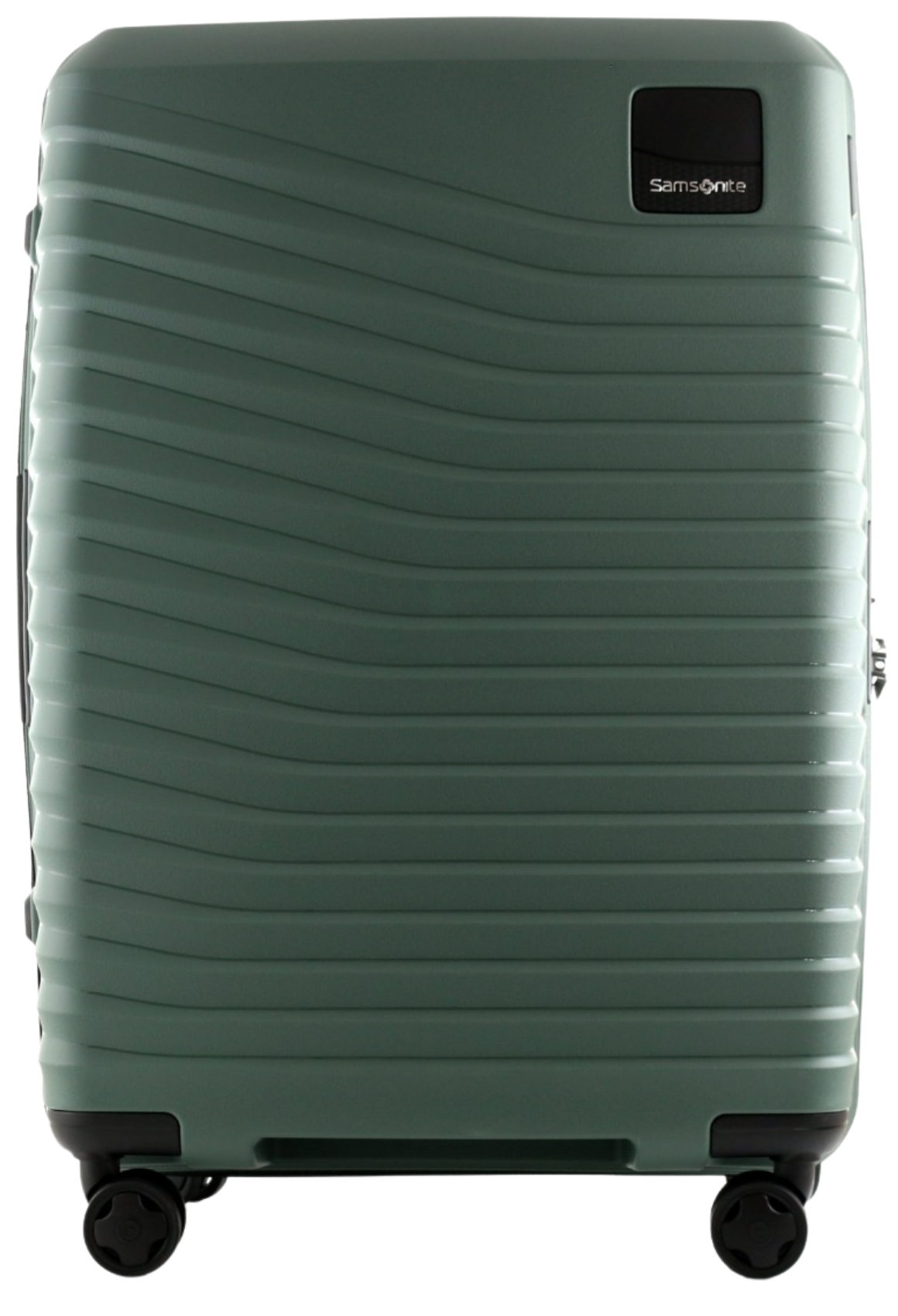 oliv / L (71-80 cm)