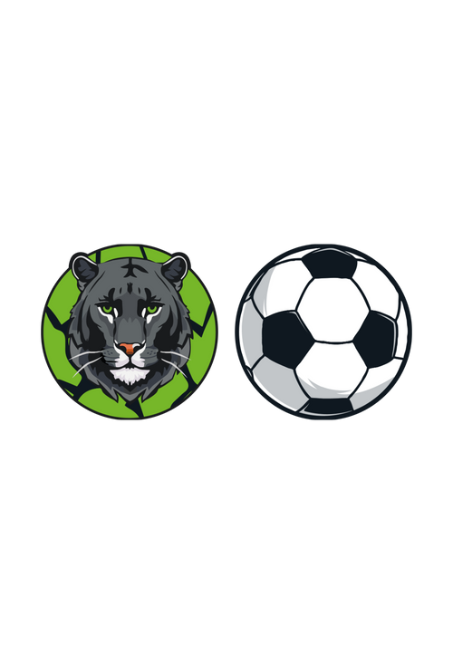 Panther / Soccerball